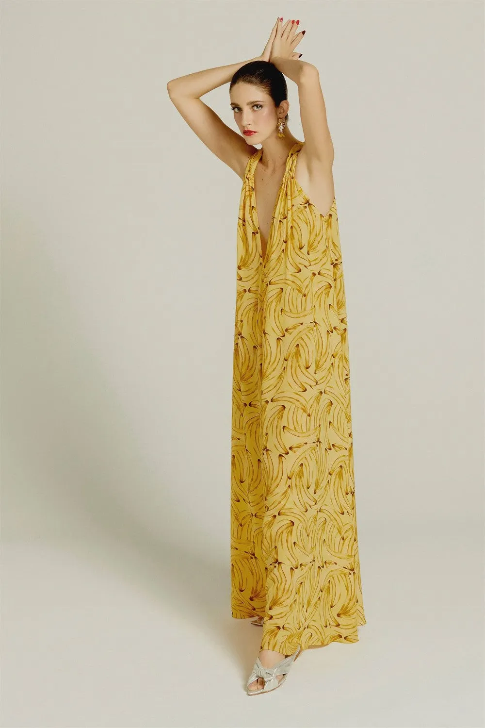 Muse Print Long Dress